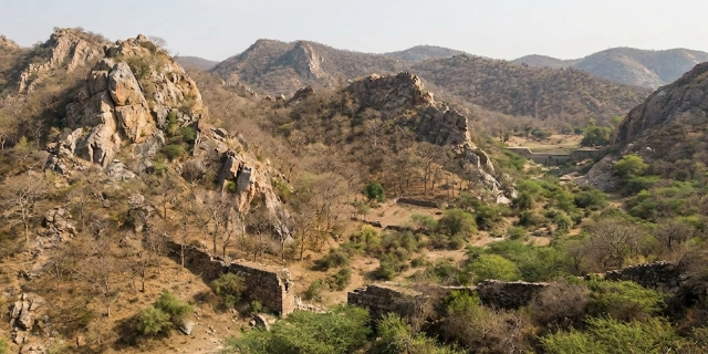 Aravalli Land Under Pressure as Haryana Governments Faced Builder Nexus Claims